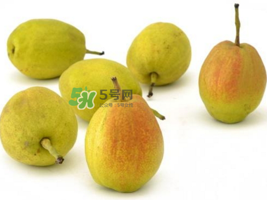 香梨的功效和作用禁忌,香梨的功效和作用和梨一样吗 香梨的功效和作用禁忌,香梨的功效和作用和梨一样吗