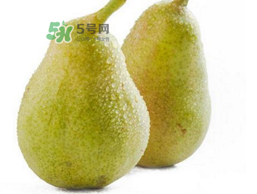 巴梨的营养价值,巴梨的营养价值及功效和作用