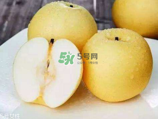 刺梨的功效和作用,贡梨的功效和作用