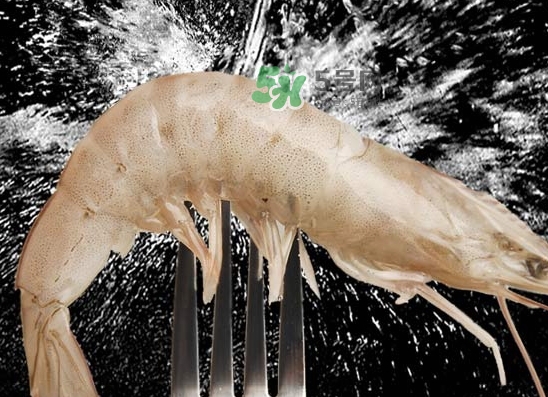 厄瓜多尔白虾为什么是咸的,厄瓜多尔白虾有问题不