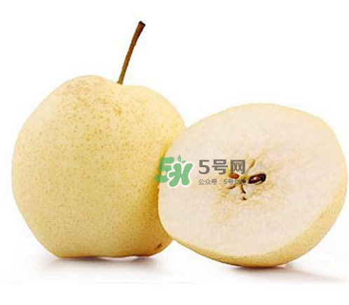 贡梨和雪梨的区别图片,雪梨是贡梨还是鸭梨