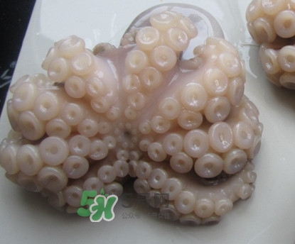 章鱼天敌是什么,章鱼天敌是什么动物