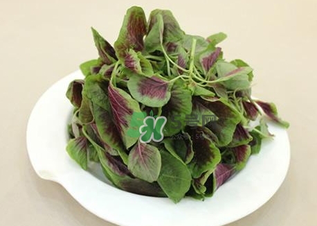 清炒苋菜的做法,清炒苋菜的做法窍门