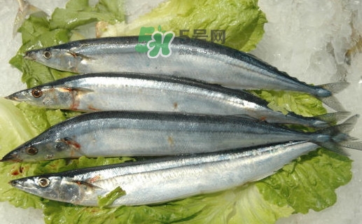 秋刀鱼为什么叫秋刀鱼?,什么是秋刀鱼