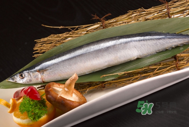 秋刀鱼和鲅鱼的区别是什么,秋刀鱼和鲅鱼的区别图片