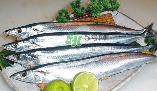 秋刀鱼和刀鱼的区别,秋刀鱼和刀鱼的区别哪个贵 秋刀鱼和刀鱼的区别,秋刀鱼和刀鱼的区别哪个贵