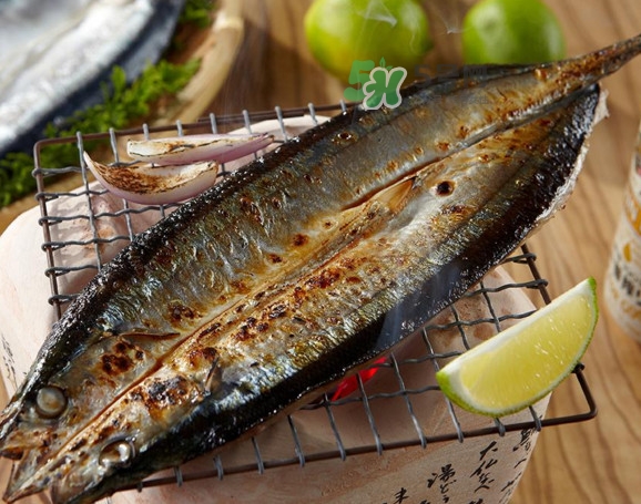秋刀鱼食用方法,秋刀鱼吃法 秋刀鱼食用方法,秋刀鱼吃法