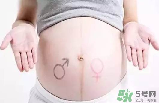 孕妇肚子黑线是什么,孕妇肚子黑线是什么样子的 孕妇肚子黑线是什么,孕妇肚子黑线是什么样子的