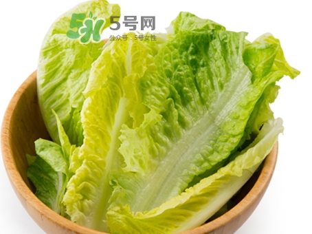 生菜可以生吃吗有寄生虫吗,生菜可以生吃吗的功效