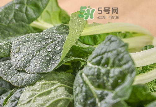 吃油菜有什么好处和坏处,儿童吃油菜有什么好处 吃油菜有什么好处和坏处,儿童吃油菜有什么好处