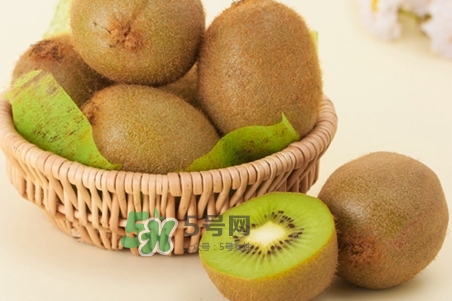猕猴桃怎么去皮的窍门,猕猴桃剥皮器 猕猴桃怎么去皮的窍门,猕猴桃剥皮器