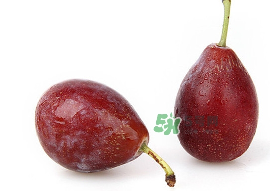 西梅什么人不能吃,西梅哪些人不适合吃