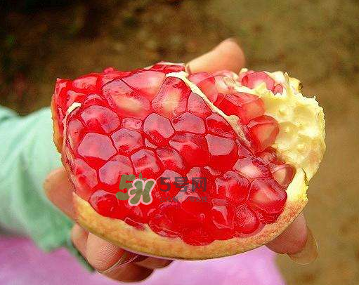 无籽石榴的特点,有无籽石榴吗 无籽石榴的特点,有无籽石榴吗