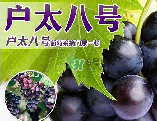 户太8号缺点,户号为什么是12位 户太8号缺点,户号为什么是12位