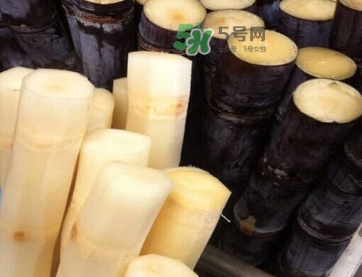 甘蔗是绿色通道吗,甘蔗在高速上是不是绿色通道