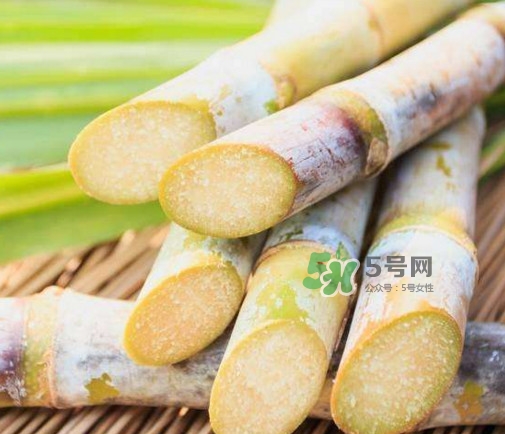 甘蔗是水果吗?,甘蔗是水果吗?为什么