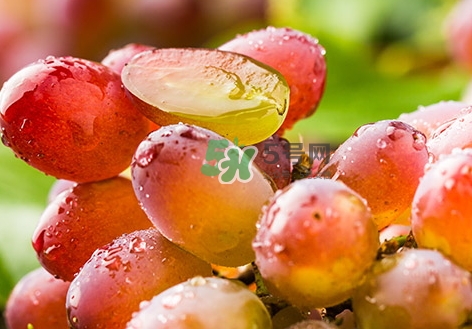 葡萄籽的功效和作用,葡萄干吃了对身体有哪些好处