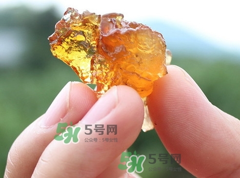 桃胶不能和什么一起吃?,桃胶不能和什么一起吃 桃胶不能和什么一起吃?,桃胶不能和什么一起吃