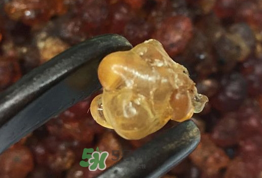 桃胶几岁小孩能吃,桃胶几岁可以吃