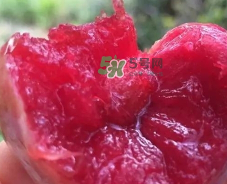 芙蓉李好吃吗,芙蓉能吃吗