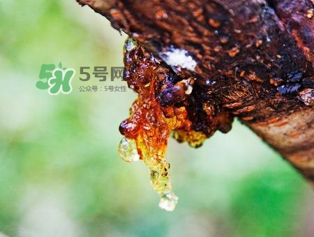 桃胶是中药吗,桃胶是中药吗百度经验