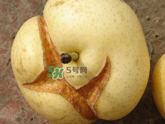 最新防治梨鸡爪病绝招,皇冠梨有鸡爪病是什么原因