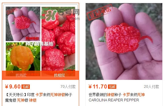 死神辣椒哪里有卖,死神辣椒多少钱