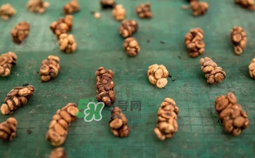 猫屎咖啡是哪个国家的品牌,猫屎咖啡哪个牌子最好