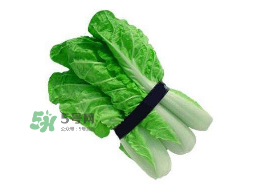 水白菜能吃吗?,水白菜可以吃吗