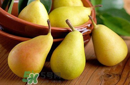 梨最好的品种是什么,最好吃的梨 梨最好的品种是什么,最好吃的梨
