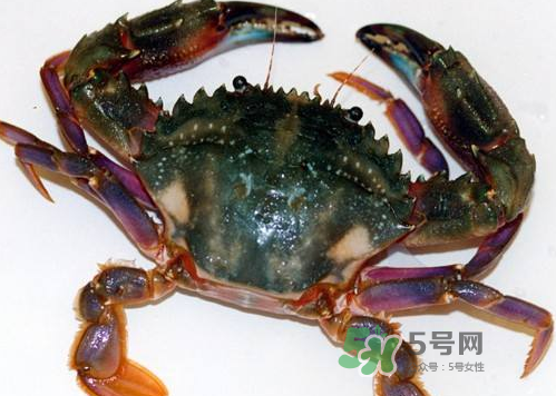 螃蟹腿变蓝色还能吃吗,螃蟹腿为啥变成蓝色的了啊