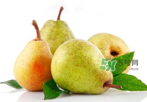 梨子什么人不能吃,梨子什么人不能吃 百度网盘