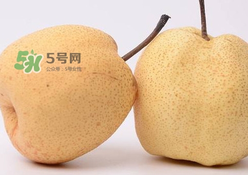 砀山梨和皇冠梨哪个好,砀山梨好吃还是皇冠梨好吃