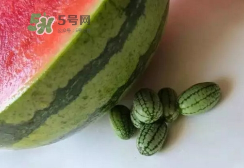 拇指西瓜好不好吃,拇指西瓜的功效和作用