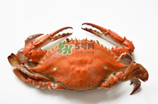 北方人不会吃螃蟹,南方螃蟹和北方螃蟹