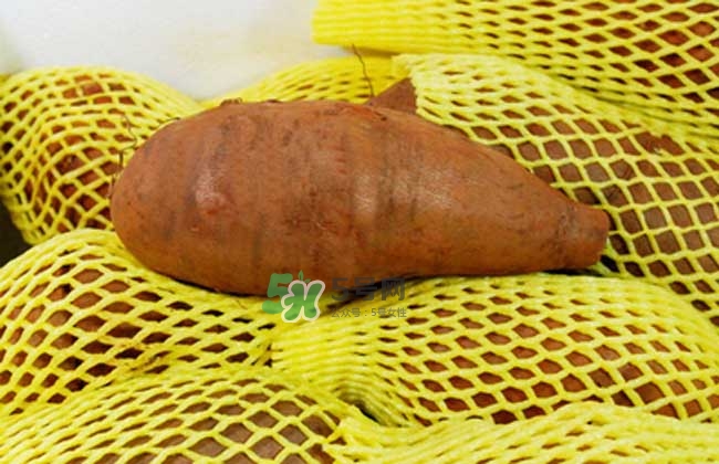 云南天山雪莲果的吃法,天山雪莲果怎么吃最好