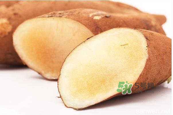 天山雪莲果和红薯的区别,雪莲果和红薯的区别