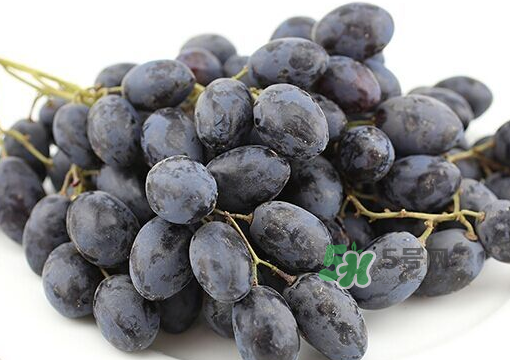 黑提的营养价值及功效和作用,黑提的营养价值