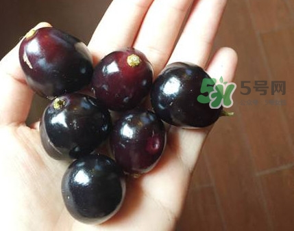 乌梅是热性还是凉性水果,乌梅是热性还是凉性 乌梅是热性还是凉性水果,乌梅是热性还是凉性