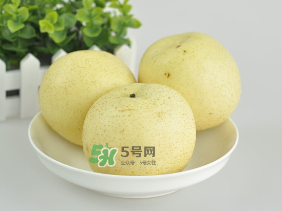 雪梨是酸性还是碱性食物,冰糖炖雪梨是酸性还是碱性