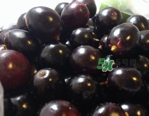 乌梅是绿色的正常吗,乌梅绿了还能吃吗