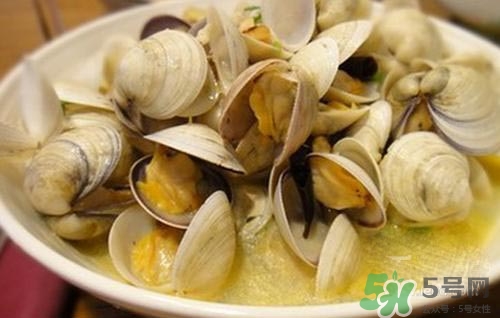 孕妇吃蛤蜊有什么好处,孕妇吃蛤蜊好不好 孕妇吃蛤蜊有什么好处,孕妇吃蛤蜊好不好