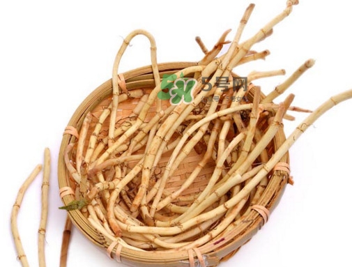 折耳根有毒吃了会伤肾,吃折耳根伤肾吗