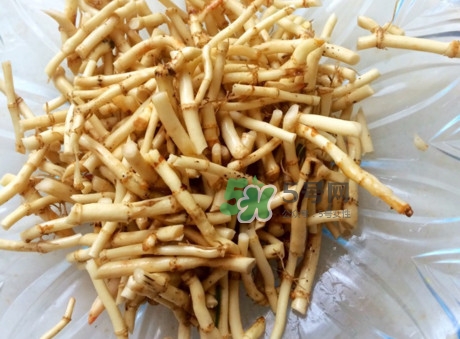 鱼腥草的食用价值和药用价值,鱼腥草的食用价值