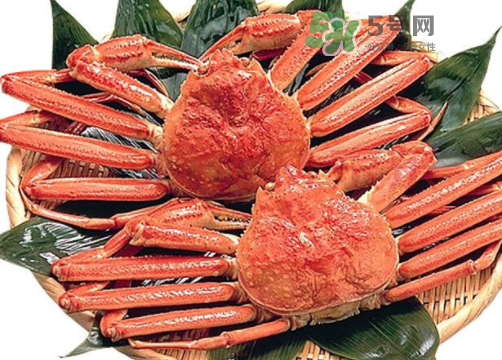 冰蟹是什么蟹,雪蟹和长脚蟹的区别 冰蟹是什么蟹,雪蟹和长脚蟹的区别