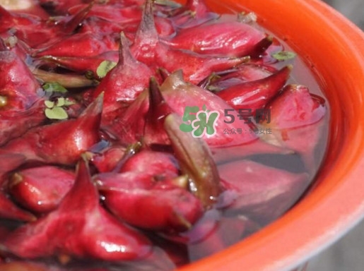 采红菱是什么意思,什么是红菱