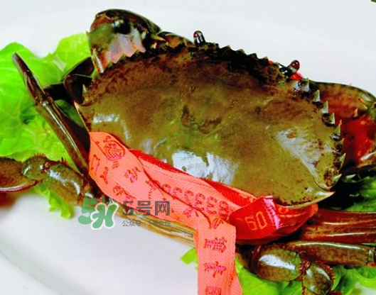 青蟹常温下能放几天,青蟹可以放几天