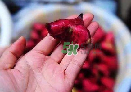 红菱的功效,红菱的营养价值及功效