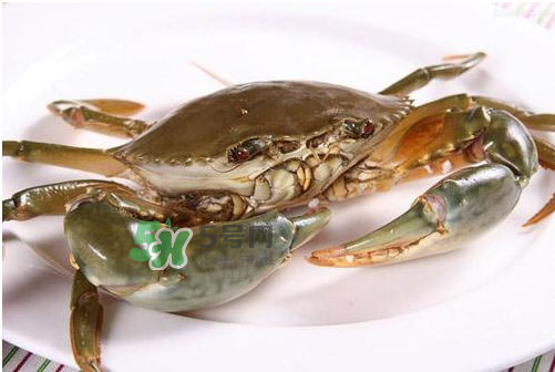 青蟹冷冻了还可以吃吗,青蟹冰箱里冻死了,还可以吃吗? 青蟹冷冻了还可以吃吗,青蟹冰箱里冻死了,还可以吃吗?