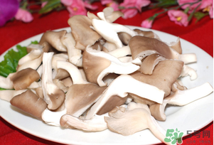 孕妇吃平菇的好处,孕妇吃平菇的好处和坏处